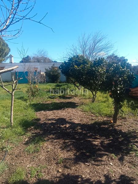 Foto 75542be0-4e63-414d-b197-ba43af6a0473. Finca rústica terreno en castilblanco en Castilblanco de los Arroyos