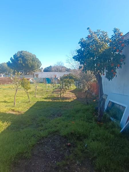 Foto aab2eaff-6c19-40ce-986d-a8b47e142ec6. Finca rústica terreno en castilblanco en Castilblanco de los Arroyos