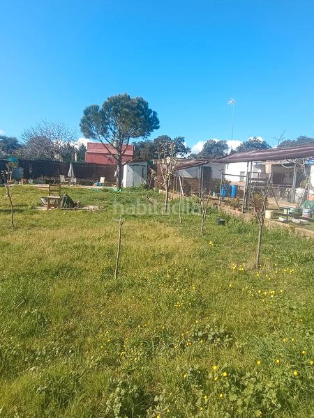 Foto b21a2085-4030-4f66-b1c8-34134e4076cf. Finca rústica terreno en castilblanco en Castilblanco de los Arroyos