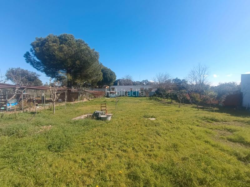 Foto c47fdbf9-cb12-49f6-aff7-03eb5e3429ce. Finca rústica terreno en castilblanco en Castilblanco de los Arroyos