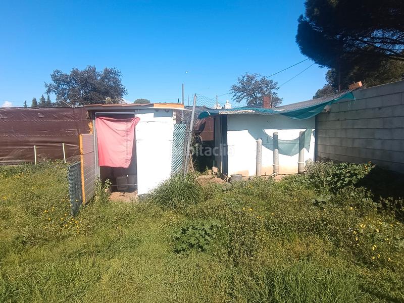 Foto c9645cf9-911b-4d1a-a0d5-48cbcbfb282c. Finca rústica terreno en castilblanco en Castilblanco de los Arroyos