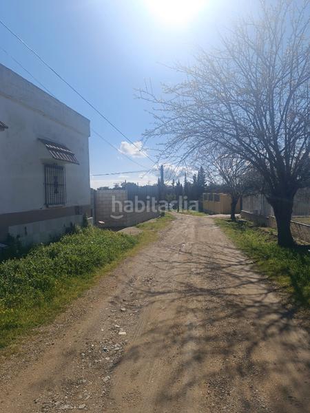 Foto dddf7096-e8ed-444d-8039-de201382e73e. Finca rústica terreno en castilblanco en Castilblanco de los Arroyos