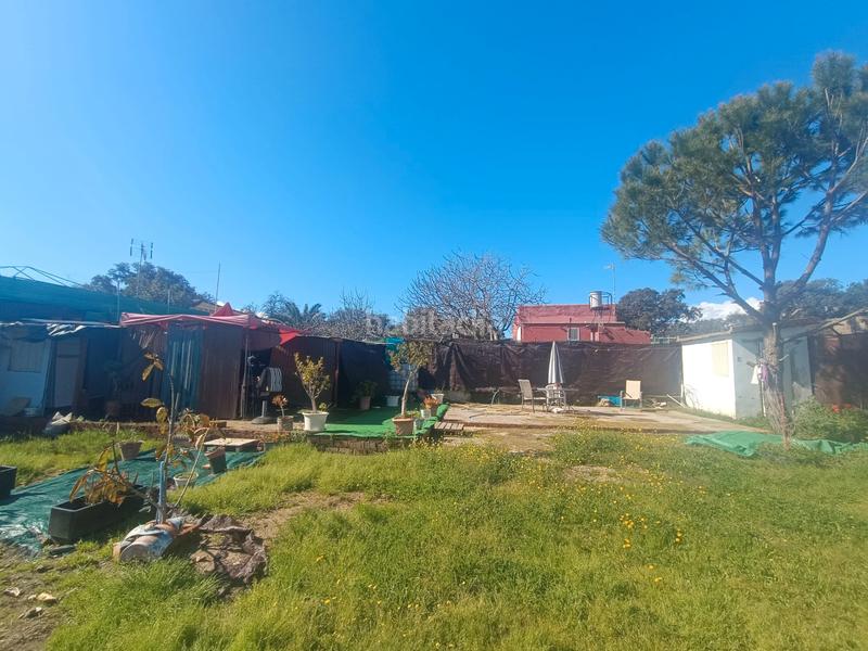 Foto e1acc4e6-1488-40db-9f96-7ad5b7e98871. Finca rústica terreno en castilblanco en Castilblanco de los Arroyos