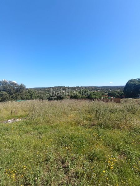 Foto b1ebeefa-0ba8-415c-bf14-3806f7601340. Finca rústica a Castilblanco de los Arroyos