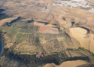Finca rústica a Olivares. Terreno en olivares