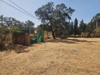 Rural plot in Castilblanco de los Arroyos. Terreno de 3000m²