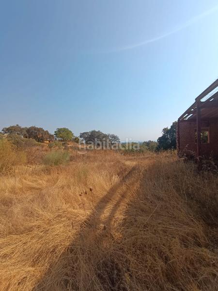 Foto 0760d680-d8cc-4323-9382-4789107e0fe4. Finca rústica terreno con casa en castilblanco en Castilblanco de los Arroyos