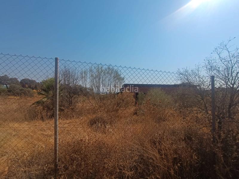 Foto 9dc35a05-c094-4580-b058-f96481078d1a. Finca rústica terreno con casa en castilblanco en Castilblanco de los Arroyos