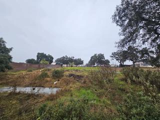 Finca rústica en Castilblanco de los Arroyos. Terreno castilblanco de los arroyos