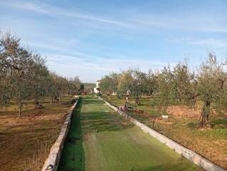 Propriété à Villanueva del Ariscal. Parcela con casa rústica
