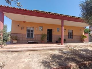 Chalet en Pilas. Chalet en pilas