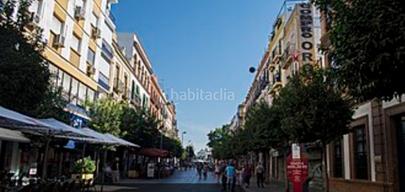 Foto 1805069e-509b-4052-9a70-f7f4bedd7787. Pis a Triana Este Sevilla