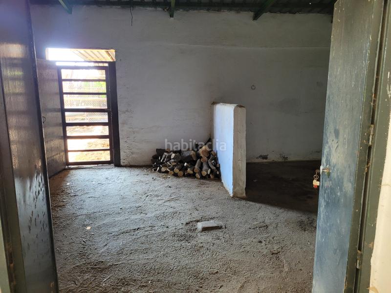 Foto bbafd3a2-192c-4ae4-becb-24bd5863b1ab. Finca rústica parcela con nave de 122m en Algaba (La)