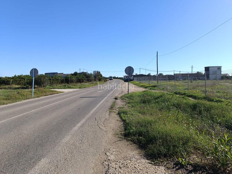 Foto 005807d3-3c38-45d5-8ec2-5a23d0a1673d. Rural plot in Algaba (La)