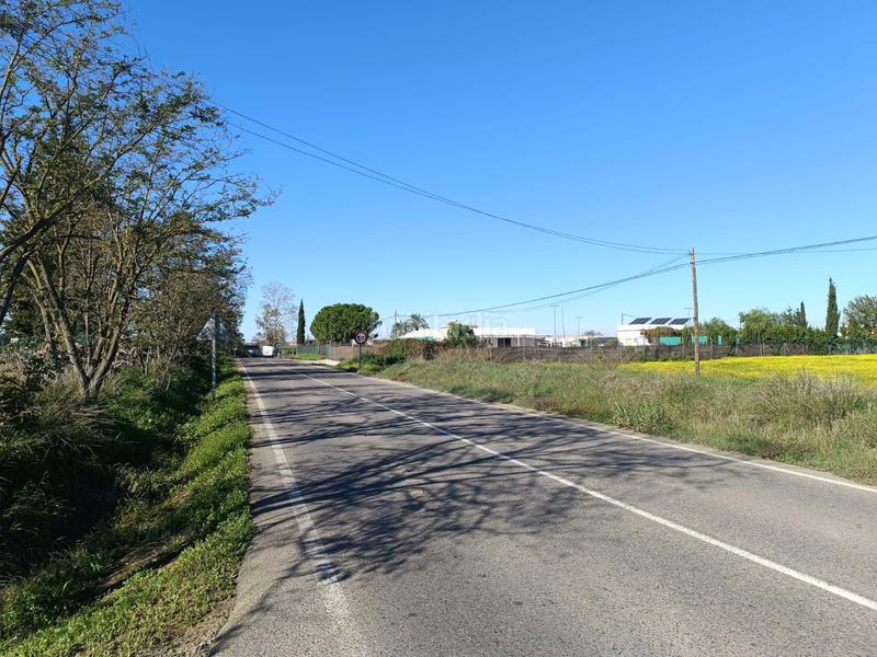 Foto 0d46a814-60a8-4459-820c-1668926847d9. Rural plot in Algaba (La)