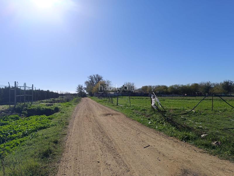 Foto 985b54cc-6a47-49be-a52c-3fe02629d45c. Rural plot in Algaba (La)