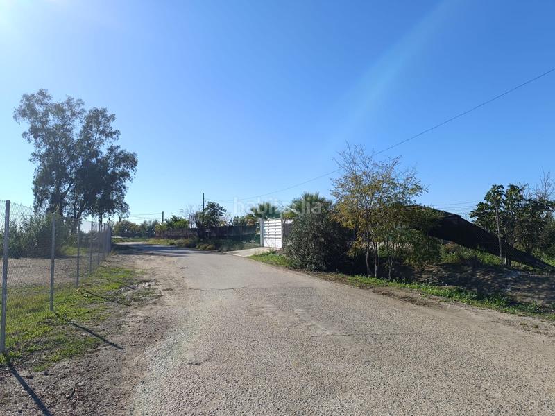 Foto add53ca8-ccce-46cd-bb1c-87c67923d0e2. Rural plot in Algaba (La)