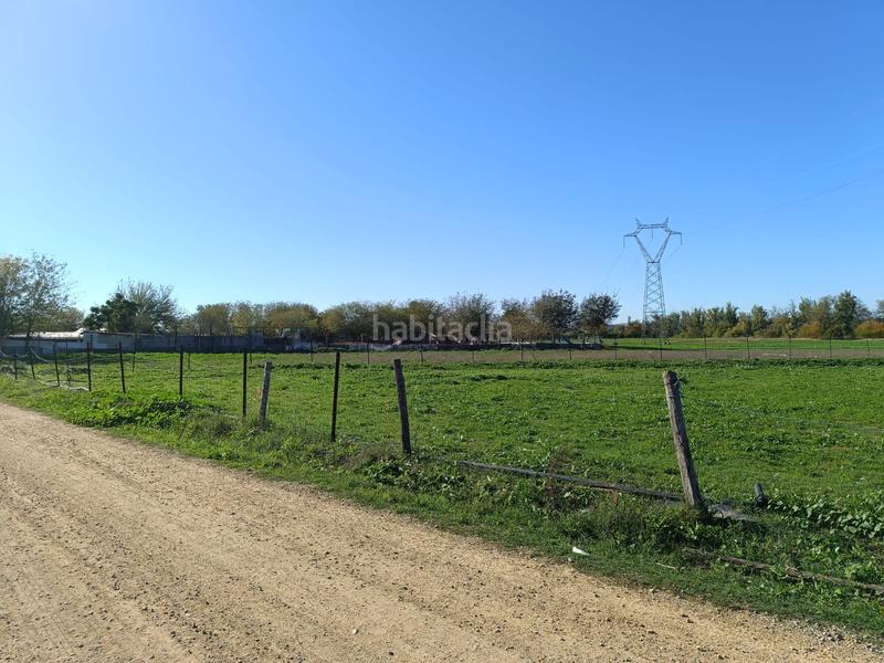 Foto dba9b368-313e-4258-a9c9-1f36aadec758. Rural plot in Algaba (La)