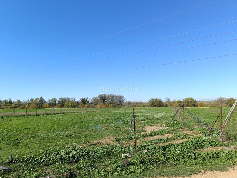 Foto f3bb214d-5969-418a-b48c-84fefd010678. Rural plot in Algaba (La)