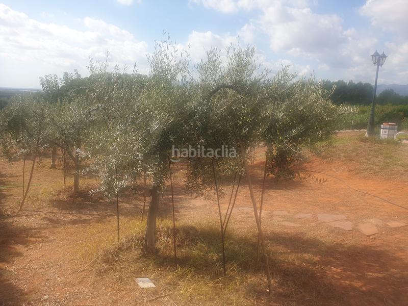 Foto 2bcab14e-f1ed-4dfc-90b4-e2f1440daa1e. Chalet mit kamin parking pool in Onda