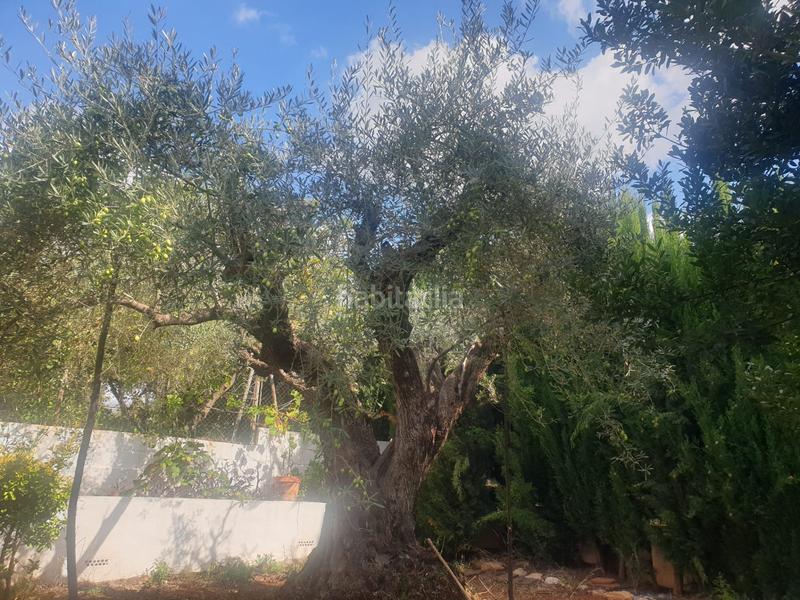 Foto 3afd6201-69d1-4de7-b23a-48832b927c14. Chalet mit kamin parking pool in Onda