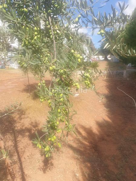 Foto 5d9e9ed7-ca1d-4f3e-a5a6-a76097553bd4. Chalet mit kamin parking pool in Onda