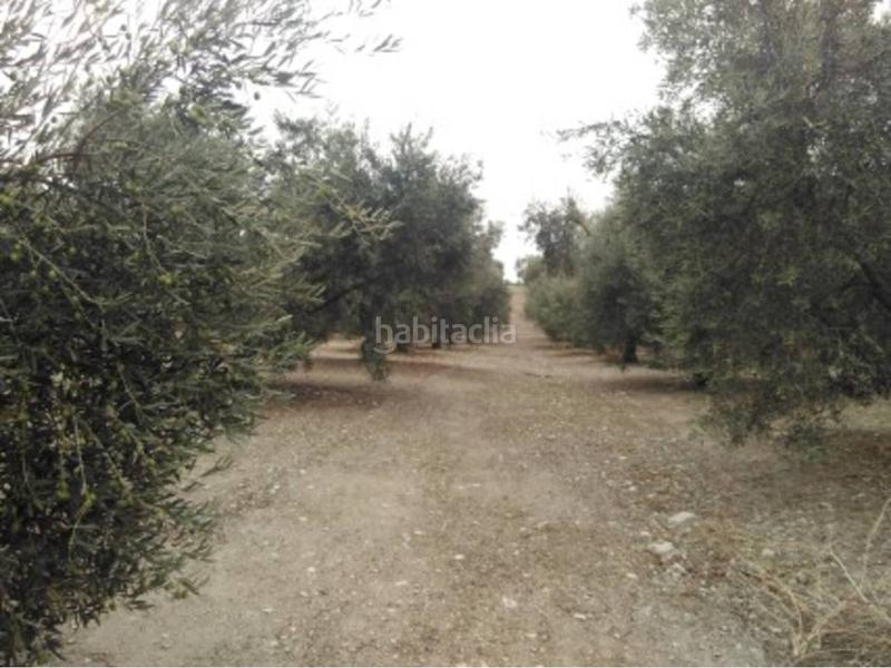 Foto 1082c486-8e7e-4fbc-9aef-ff27b9e212f2. Finca rústica a Castro del Río