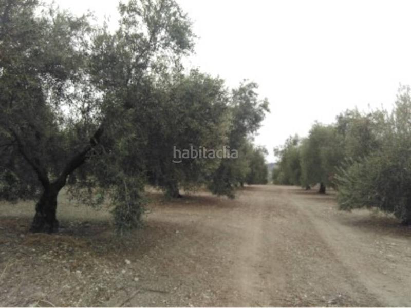 Foto c8069dfc-b1bf-4674-84ed-5c18cf6cf7ed. Finca rústica a Castro del Río