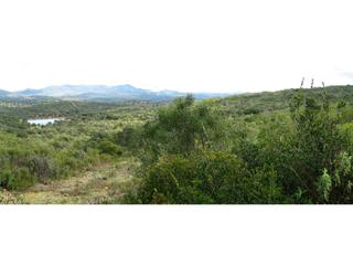 Finca rústica  Termino villaviciosa de cordoba. Finca rustica en venta en villaviciosa de córdoba