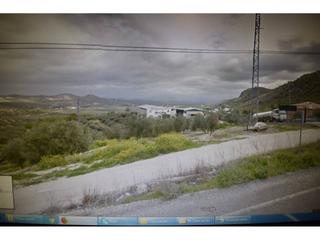 Terreny residencial a Luque. Parcela de olivar, 2.540 m2 de parcela, edificable.