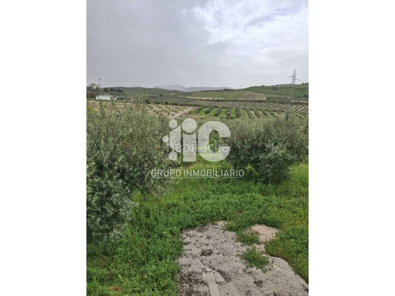 Foto d12451a5-c923-46d6-a7d3-78ea021bb481. Terreny residencial a Baena