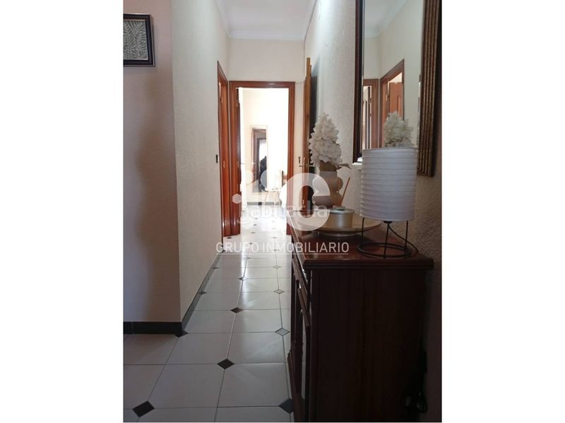 Foto b00c3137-6b17-4f51-beb3-83aab1f7b217. Pis a Baena