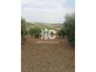 Finca rústica a Calle Salvador Muñoz