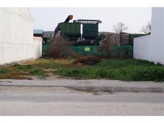 Terreno residenziale in Baena. Solar  en zona residencial en albendin  solo 32.000  !!
