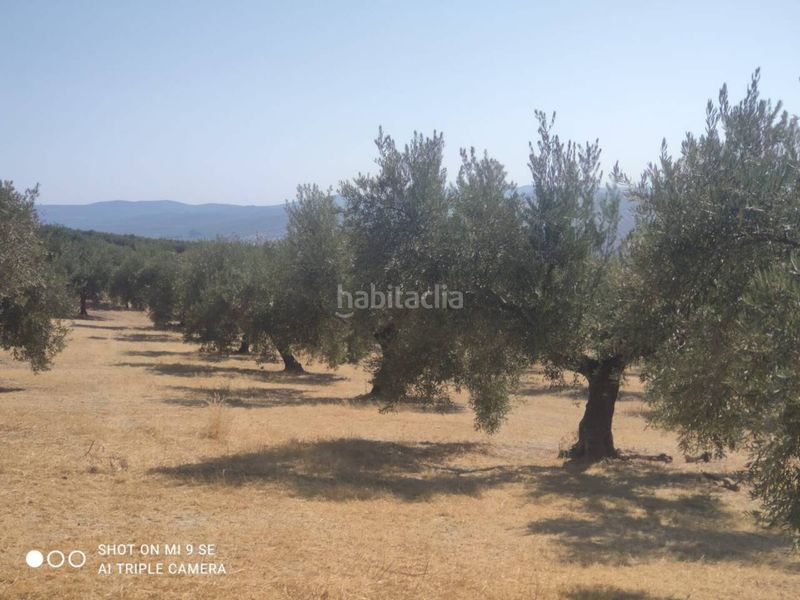 Foto fa291166-ea7a-428d-88e3-8ae16a19d8f8. Finca rústica a Baena