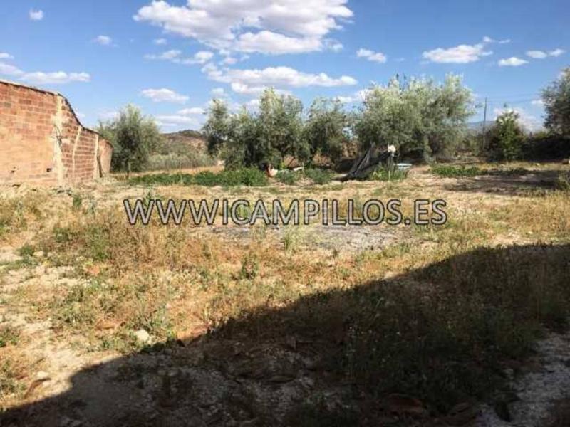 Foto 142c885f-4e42-402c-91f3-90948587b966. Wohngrundstück in Priego de Córdoba