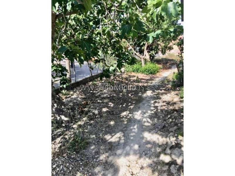 Foto ca75d474-bc7d-454f-b262-2b4d0cae078a. Wohngrundstück in Priego de Córdoba