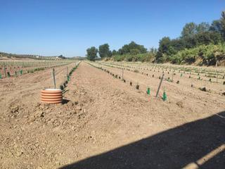 Finca rústica  Termino de cabra. Finca superintensivo de riego