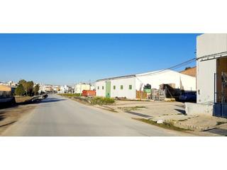 Terreny residencial a Castro del Río. Gran solar de 550 m2