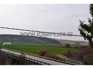 Masia a Baena. Casa de campo legal por 28.000 euros.