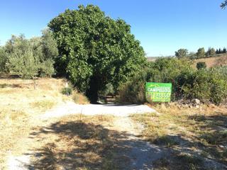 Masia a Baena. Huerta a un paso de baena.
