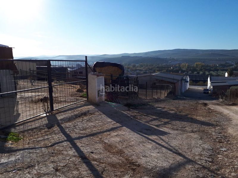 Foto ffbbb896-d02a-43a9-ae99-600c9debcf5f. Finca rústica a Castro del Río