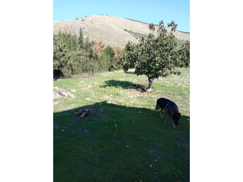 Foto d71a5d1f-035c-43ca-9d78-86cef5354d2c. Masia a Baena