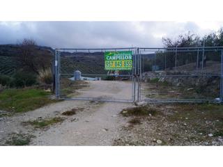 Bâtiment à usage industriel à Luque. Gran nave de 500m2   250 planta bajaenmarcada en una finca de 45