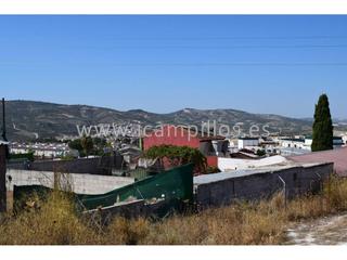 Terreno residenziale in Baena. Solar en llano de 210 m2 ideal para recreo.