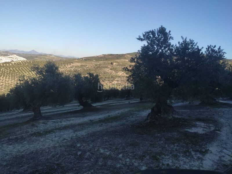 Foto 9b81a988-ba9d-459f-8ab3-b675e59ee2c8. Finca rústica a Baena