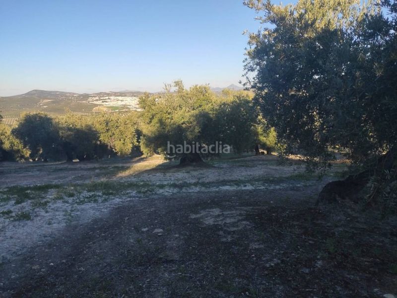 Foto d6a44469-99d8-4526-a895-5e20c20db53b. Finca rústica a Baena