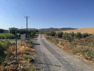 Finca rústica a Baena. Huerta de 2 fanegas 5 min. de baena, linda carretera. pozo, luz.
