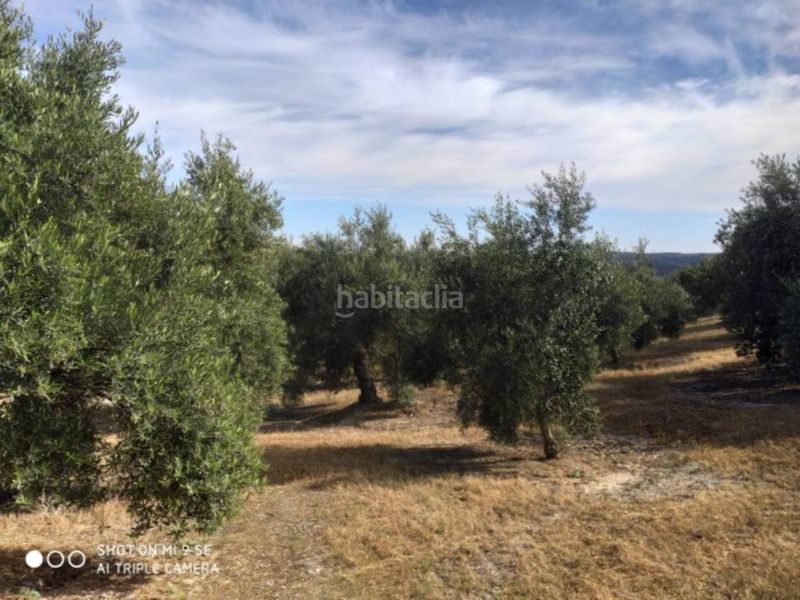 Foto 24a48553-cfc7-4d63-99f4-4447be6998c3. Finca rústica a Baena