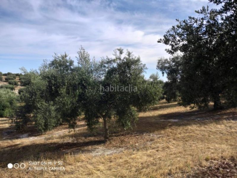 Foto 4d97b37e-1794-4f27-9734-2bbca83c5f82. Finca rústica a Baena